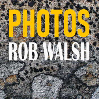 Photos - Rob Walsh