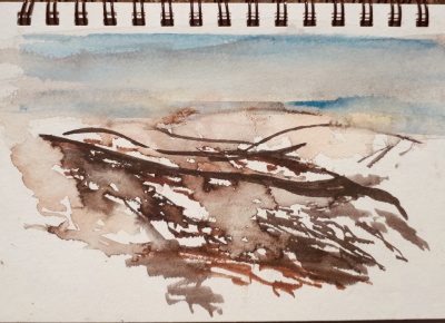 Wild Tops, Hartabhal