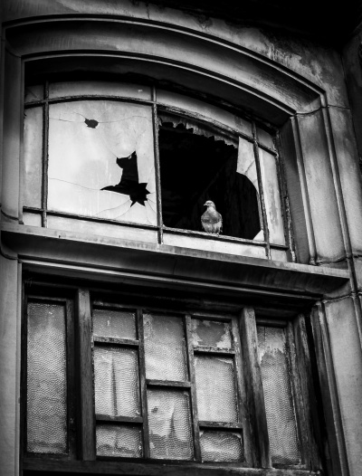 Broken Window