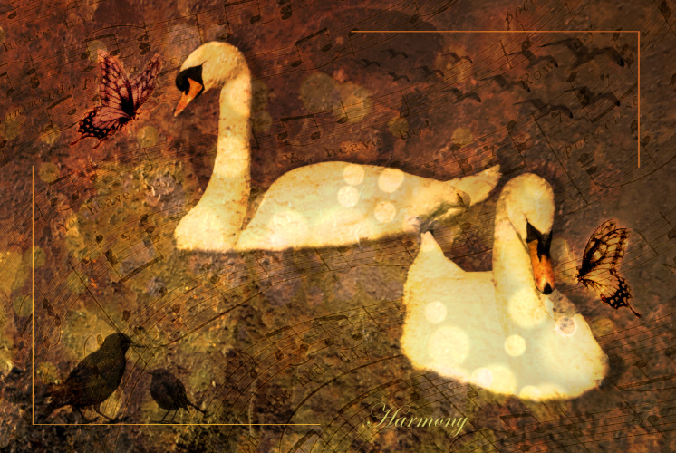 Harmony