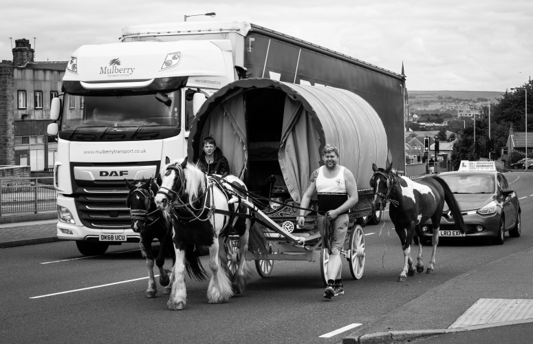 Life in the Slow Lane