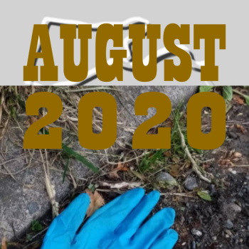 August 20