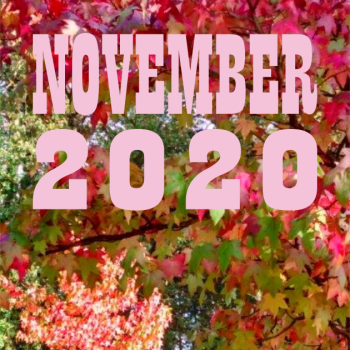November 20