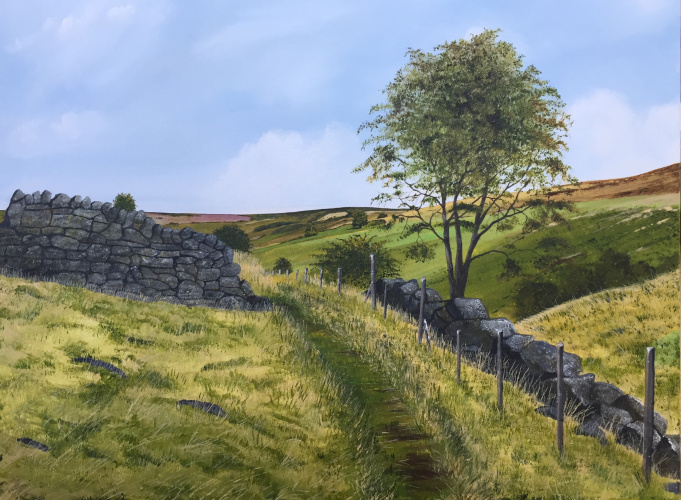 Bronte Moor