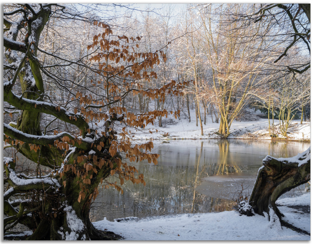 Winter Colour 1