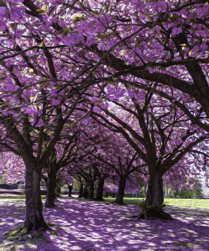 Blossom