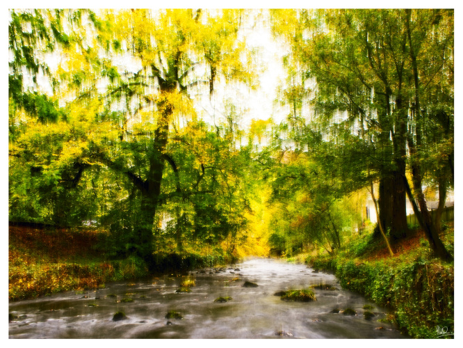 Redshaw Paul-Autumn Rain at Clapham Beck