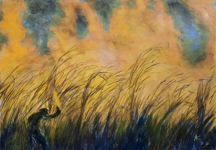 Sugar Cane Burning