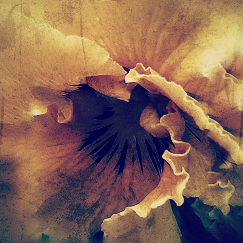 Nebulous