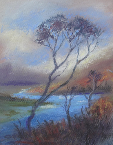 Tree  On The Laxford