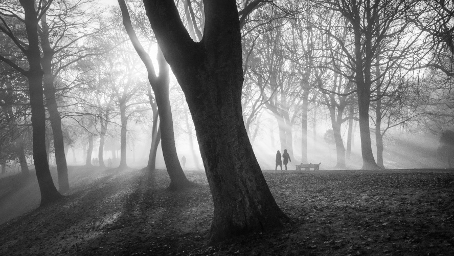 Foggy Day In Lister Park