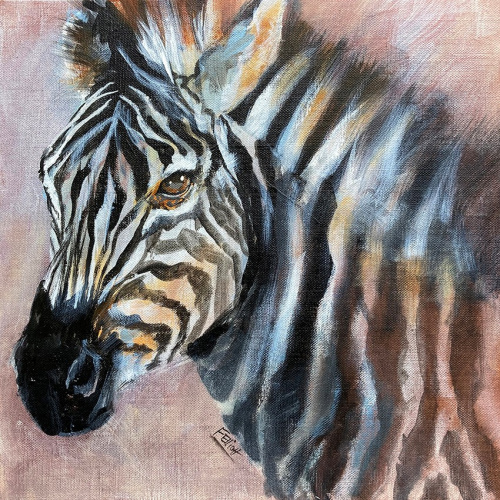 Zebra