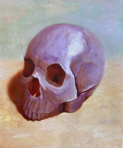 Skull Study