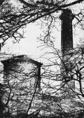 Mill Through The Trees