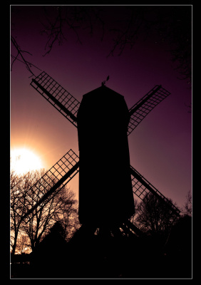 Windmill 